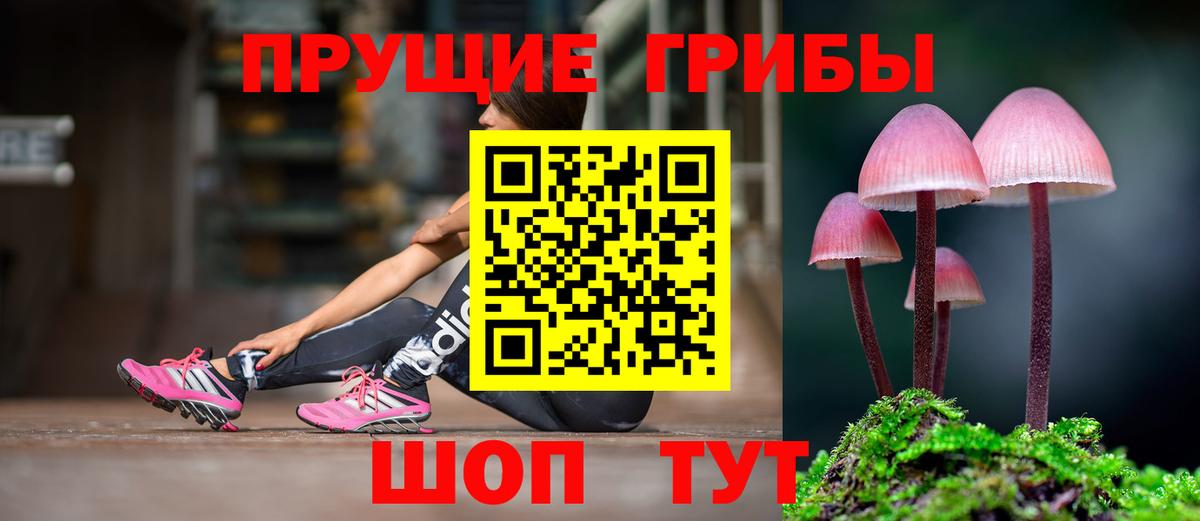 Наро-Фоминск  Галлюциногенные грибы прущие грибы  Вход с VPN 